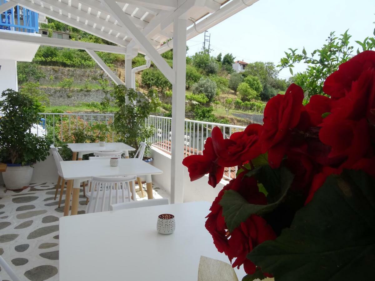 Galini Hellenic Hospitality Aparthotel Patitiri  Bagian luar foto